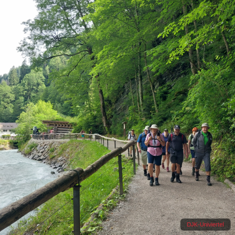 20230708_094604-1.68926243074e+12