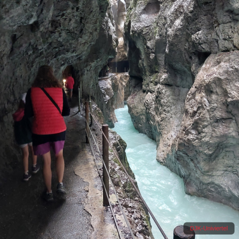 20230708_095520-1.68926245801e+12