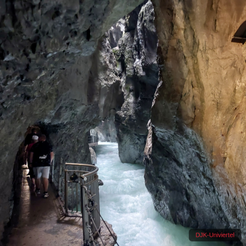 20230708_100034-1.68926248307e+12