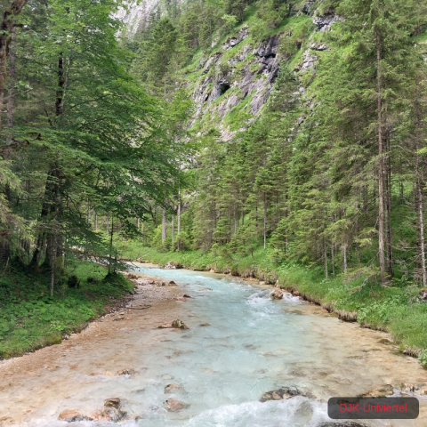 20230708_113421-1.68926256273e+12