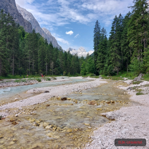 20230708_115124-1.68926261312e+12