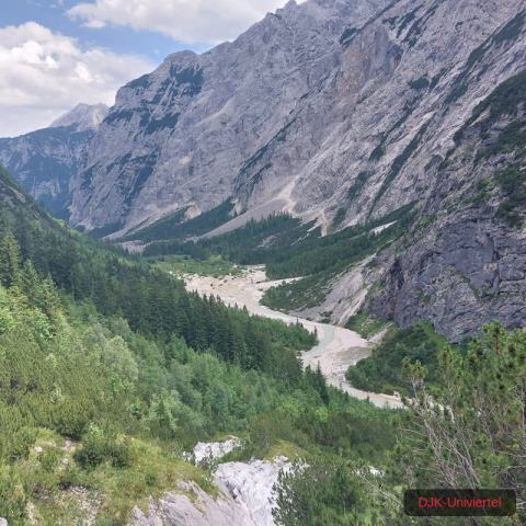 20230708_135155-1.68926268618e+12