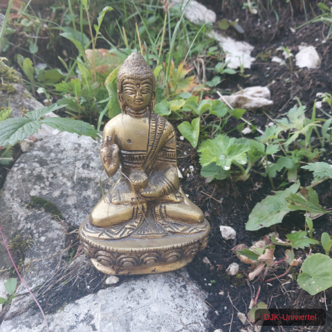 20230708_184442-1.68926274885e+12