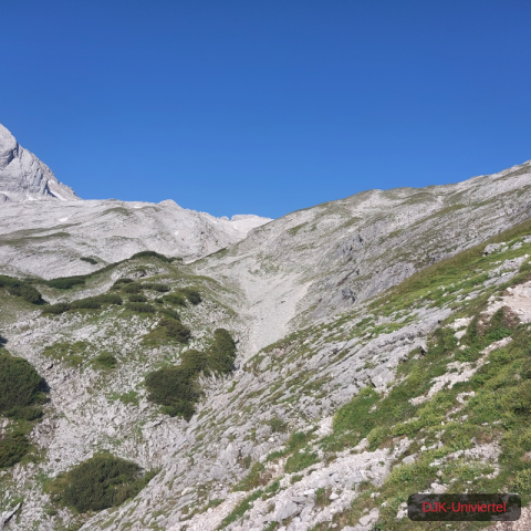 20230709_084507-1.68926281095e+12