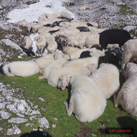 20230709_102128-1.68926294663e+12