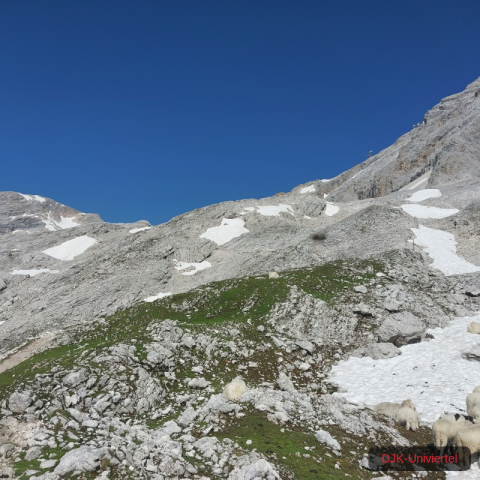 20230709_102152-1.68926297847e+12