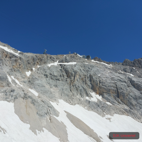 20230709_112053-1.68926441358e+12