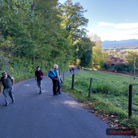 20231021_103205-1.69970634428e+12