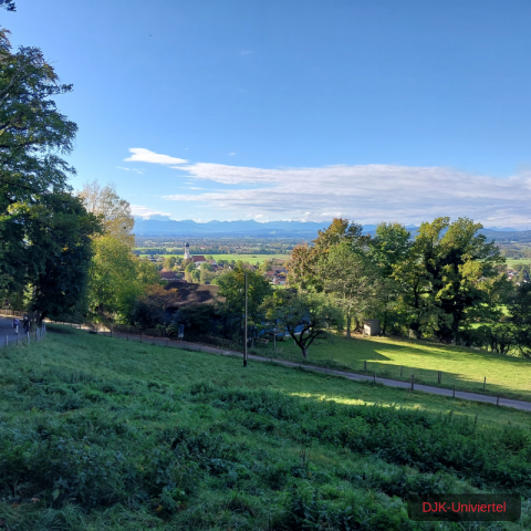 20231021_103215-1.69970638074e+12