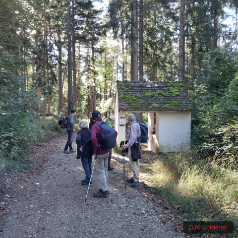 20231021_113147-1.69970639679e+12