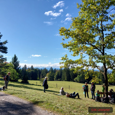 20231021_115257-1.6997064112e+12