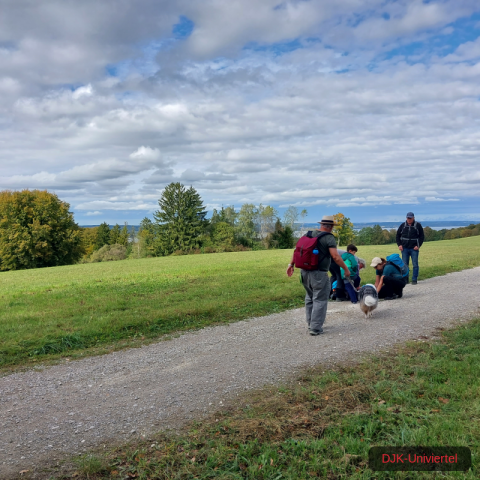 20231021_122830-1.69970644117e+12