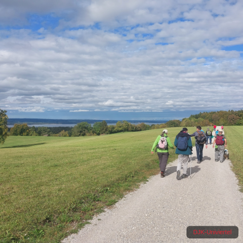 20231021_123134-1.69970646574e+12