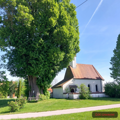 20240511_101641-1.71551546426e+12