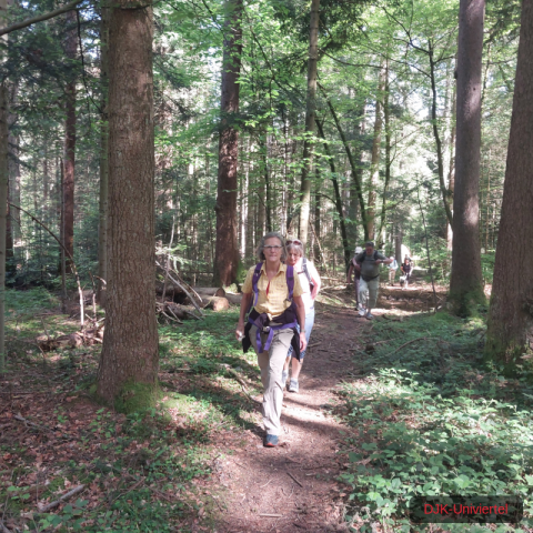 20240511_103319-1.71551547957e+12