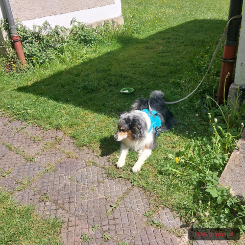 20240511_112335-1.71551553703e+12