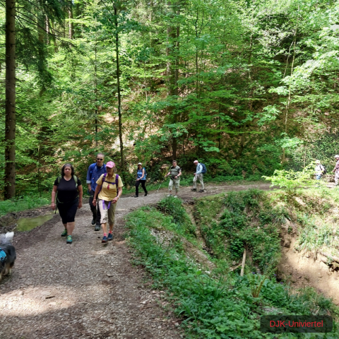 20240511_120602-1.71551555159e+12