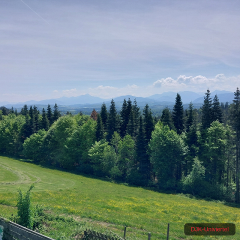 20240511_122816-1.71551557934e+12