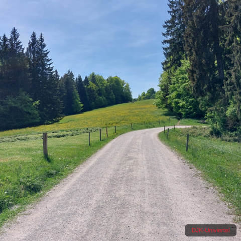 20240511_133739-1.71551562449e+12