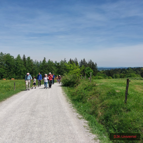 20240511_133750-1.71551563758e+12