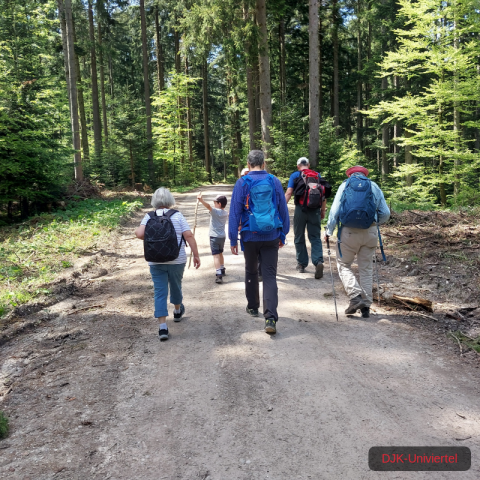 20240511_140929-1.71551574282e+12