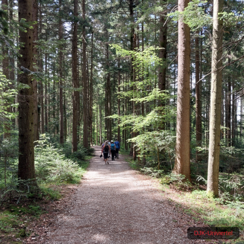 20240511_142927-1.71551575714e+12