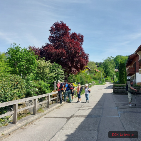 20240511_144752-1.71551578392e+12