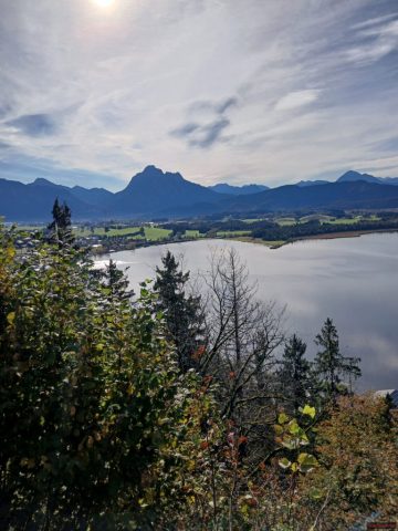 20241012_103527-1.72918565625e+12