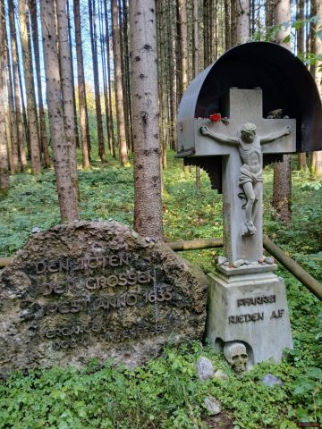 20241012_113522-1.72918568806e+12