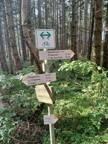 20241012_113828-1.72918570411e+12