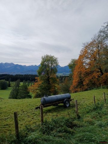 20241012_114920-1.72918573395e+12