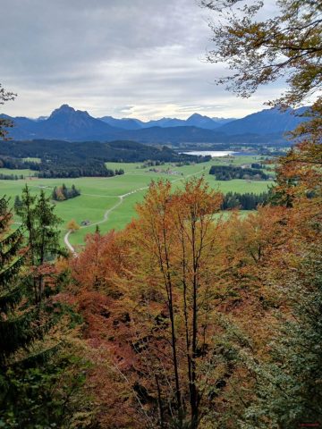 20241012_124747-1.72918578312e+12