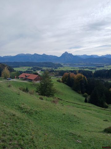 20241012_134023-1.72918581339e+12