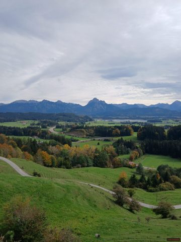 20241012_145558-1.72918585931e+12